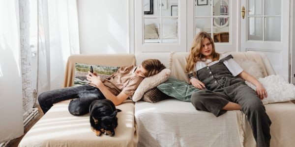 4643-perro-descansando