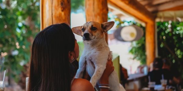 4702-donde-comer-con-perro-barcelona