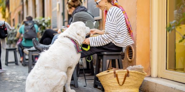 4703-donde-comer-con-perro-barcelona