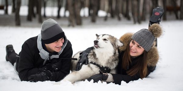 4722-sierra-nevada-con-perro-rutas