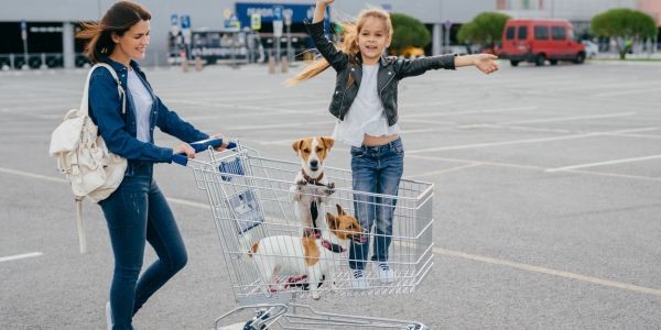 4745-centros-comerciales-dog-friendly-perros