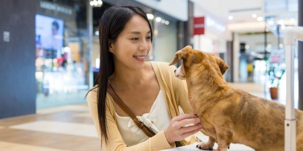 4746-centros-comerciales-con-perros