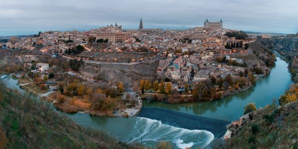 4756-toledo-guia-con-perro