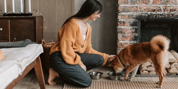 4777-hoteles-con-perro-malaga