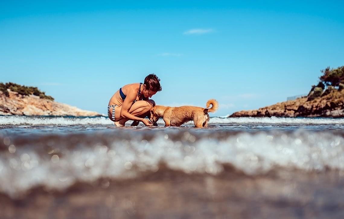 4804-taiga-resorts-conil-dog-friendly