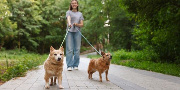 4826-santander-con-perro-guia-dog-friendly