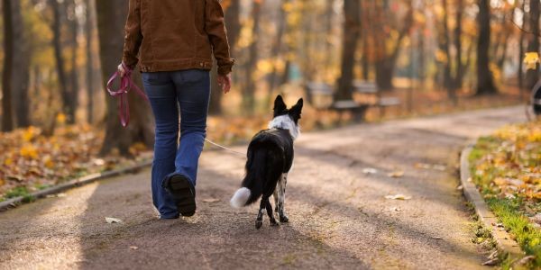 4827-santander-con-perro-guia-dog-friendly