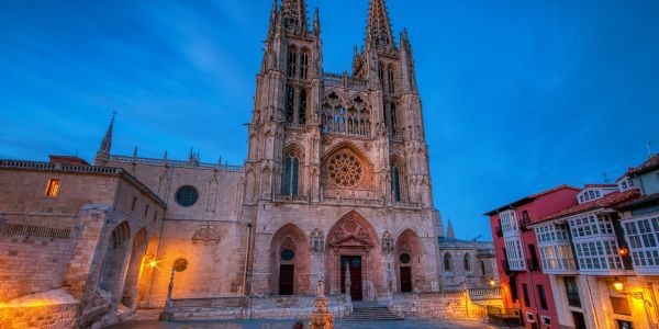 4868-burgos-con-perro-guia