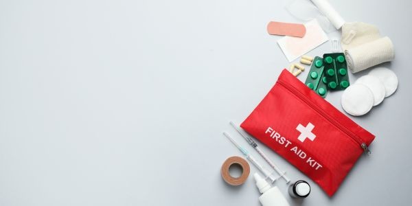4895-kit-para-perros-donde-comprar