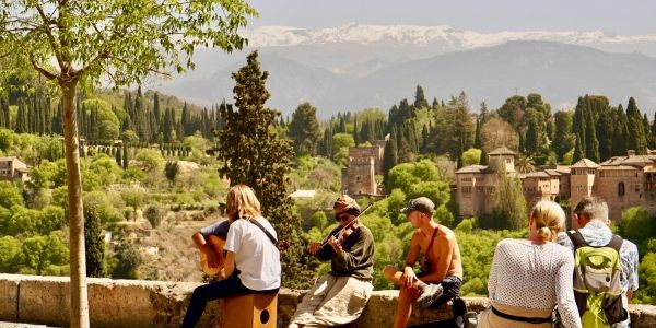 4933-granada-con-perro