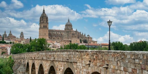 4940-salamanca-con-perro