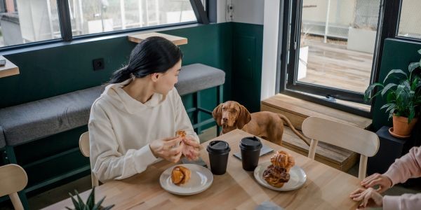 4978-comer-con-perro