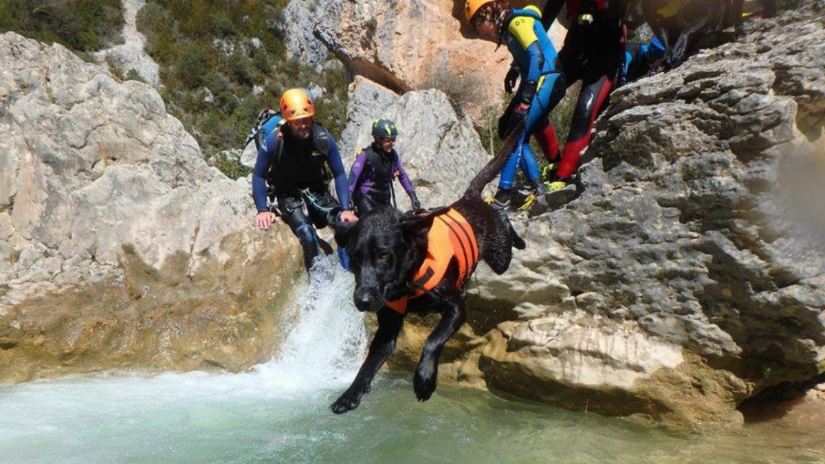 5030-sierra-de-guara-con-perro