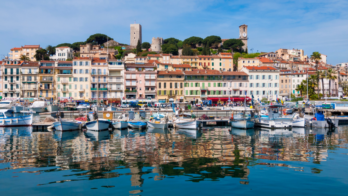 5062-cannes-dog-friendly