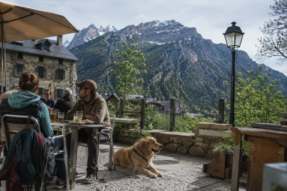5090-comer-con-perro-pirineo-cerca-huesca
