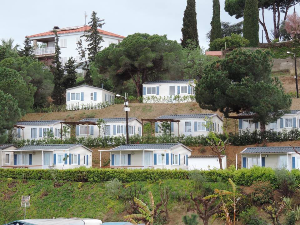 584-vacaciones-semana-santa-con-perro