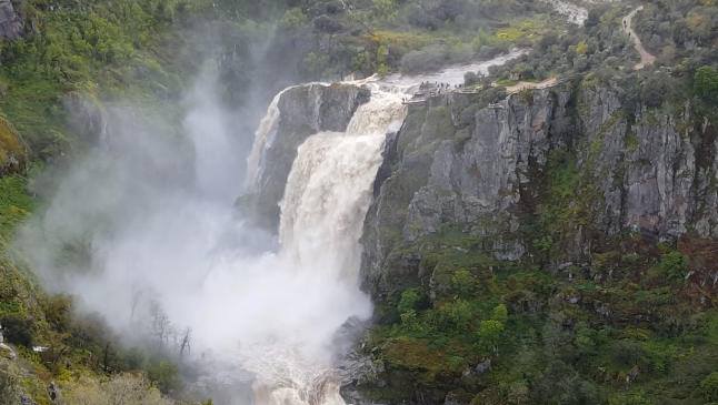 602-vacaciones-semana-santa-con-perro