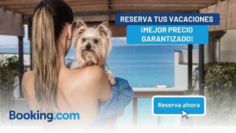 608-vacaciones-semana-santa-con-perro