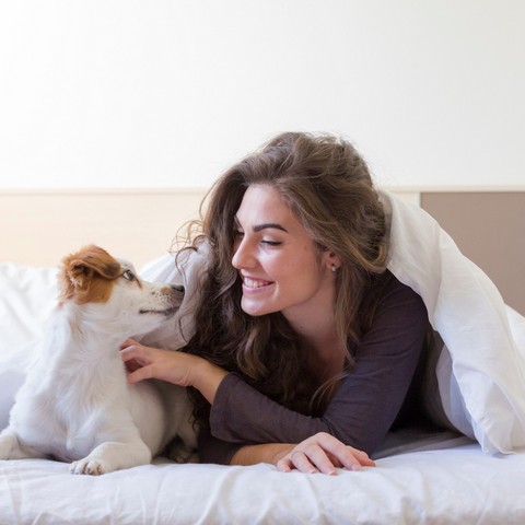 10-apartamentos-admiten-perros-y-mascotas