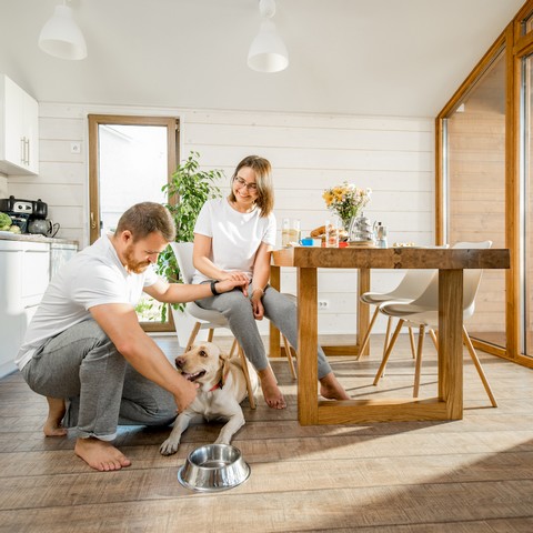 12-apartamentos-admiten-perros-y-mascotas