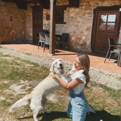 12-casas-rurales-admiten-mascotas