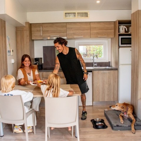 6-apartamentos-admiten-perros-y-mascotas
