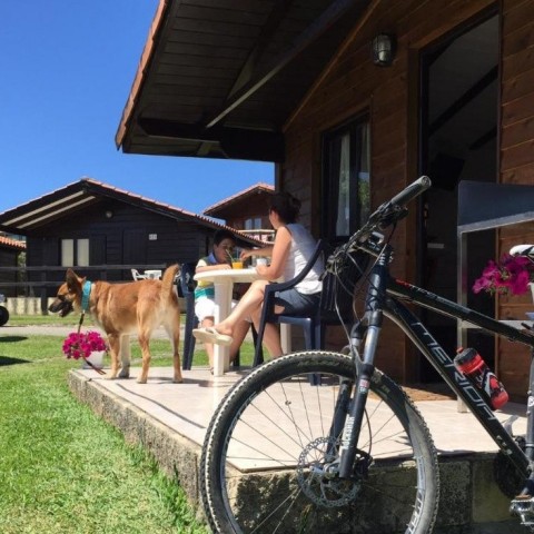 6-campings-admiten-perros