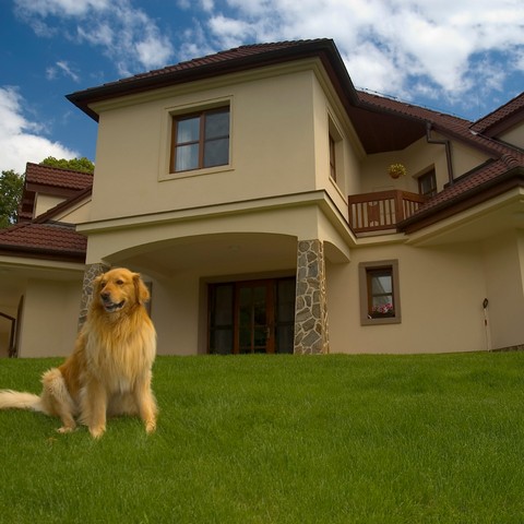 7-casas-rurales-admiten-mascotas